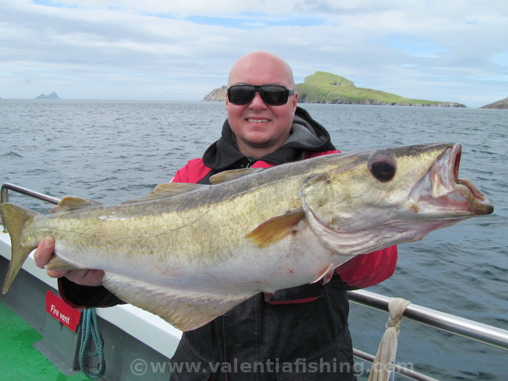 Valentia Fishing - Happy angler Dubi with a specimen pollack 