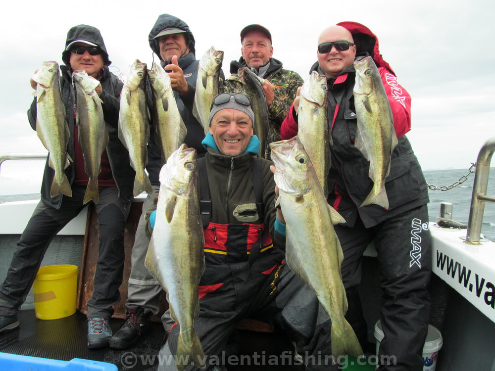 Valentia Fishing - fine pollacks around