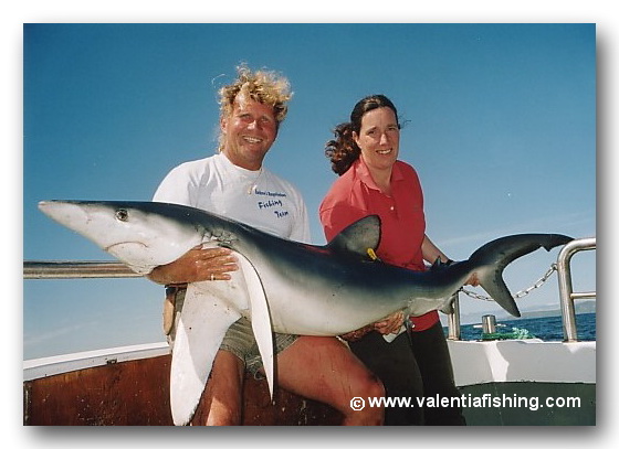 Siegy und Billi mit einem schönen Blauhai, der markiert und wieder zurückgesetzt wurde