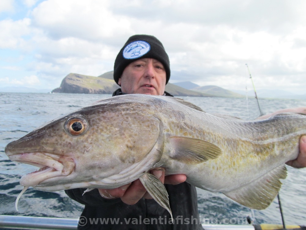 Valentia Fishing - Der heutige Tagessieger Patrick mit einem schönen Dorsch